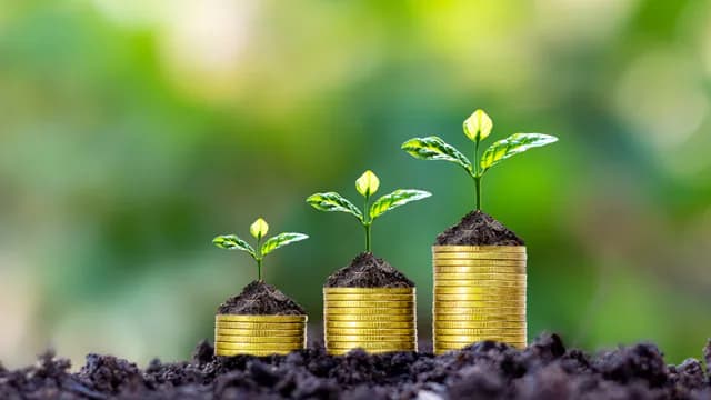 Investasi Reksa Dana atau Emas, Mana yang Cocok untuk Pemula?