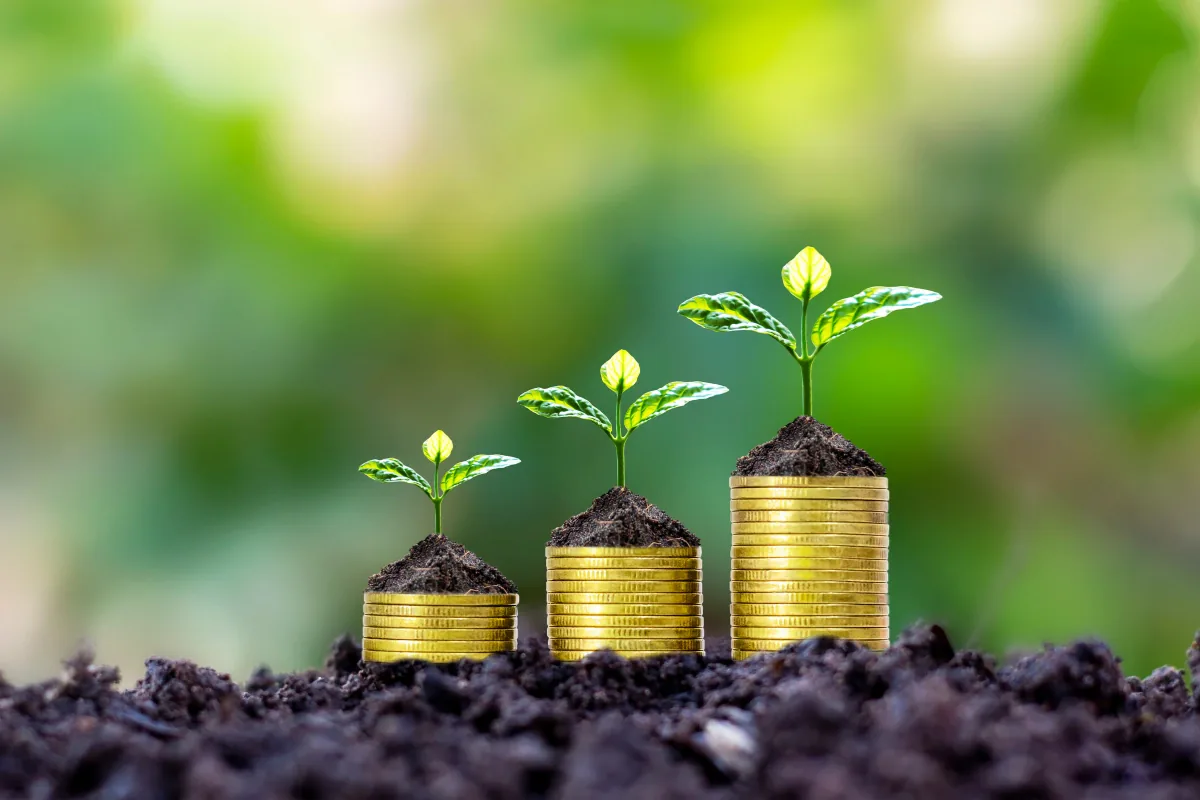 Investasi Reksa Dana atau Emas, Mana yang Cocok untuk Pemula?