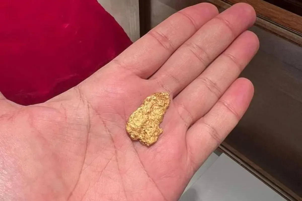 Emas Nugget Itu Apa