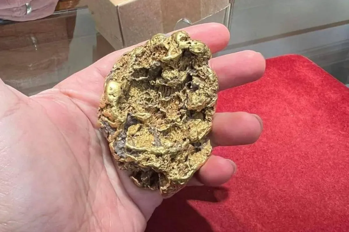 Apa Itu Emas Nugget? Karakteristik dan Perbedaannya dengan Emas Batangan