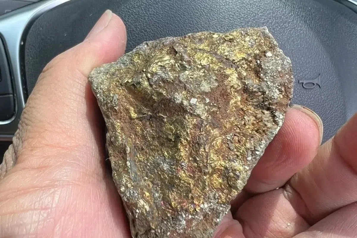 batu mengandung emas murni