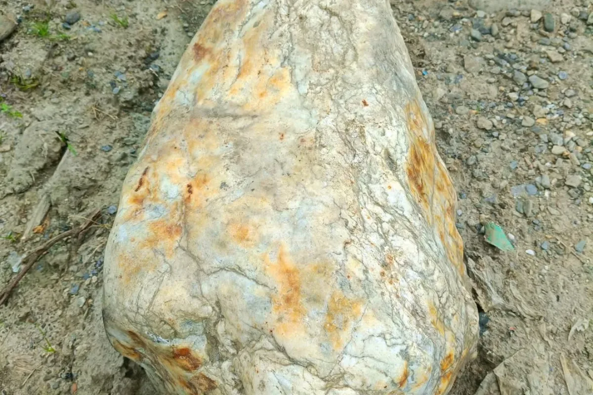 contoh batu mengandung emas